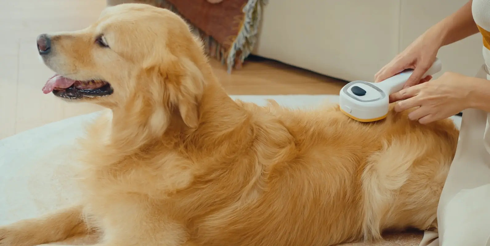 Why Your Dog Hates Brushing