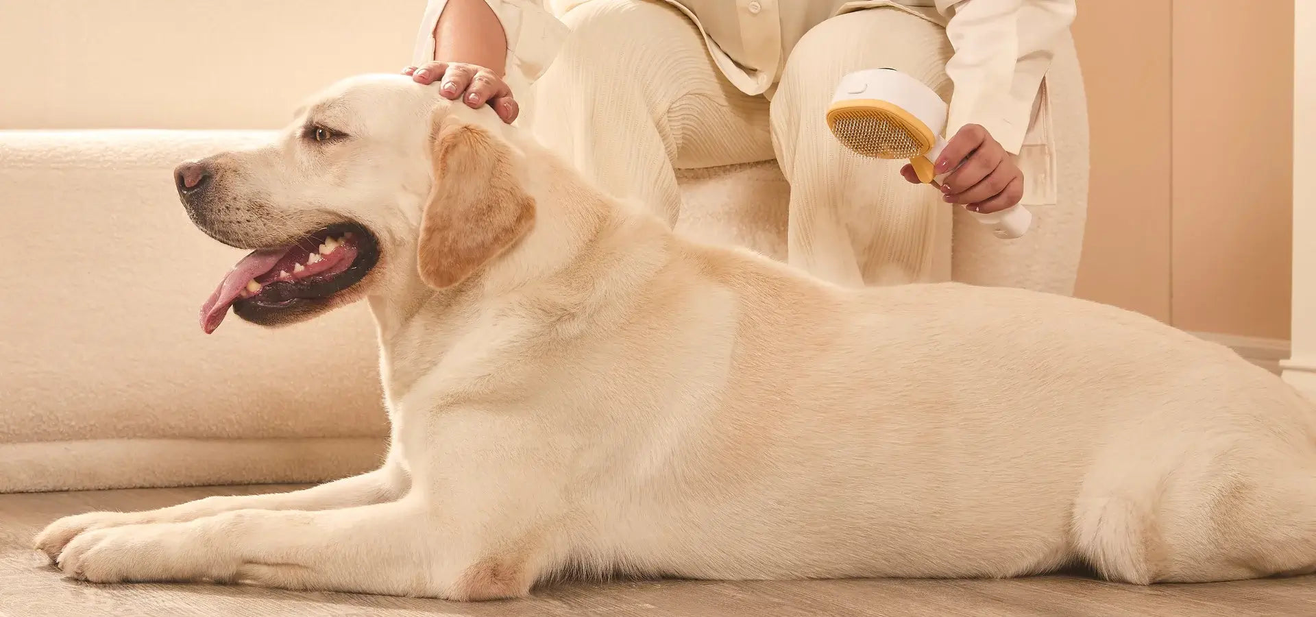 Why Regular Pet Grooming is Vital for Your Pet's Health