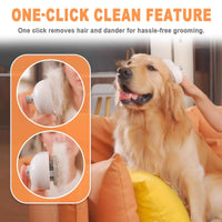 FurGo Dog Grooming Brush with Steam Technology