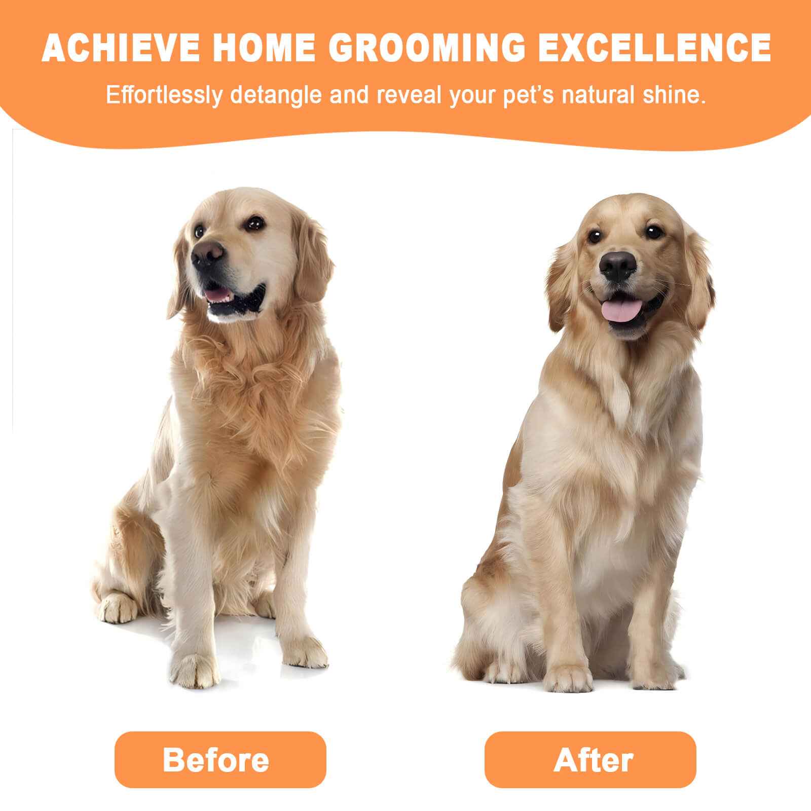 FurGo Dog Grooming Brush with Steam Technology