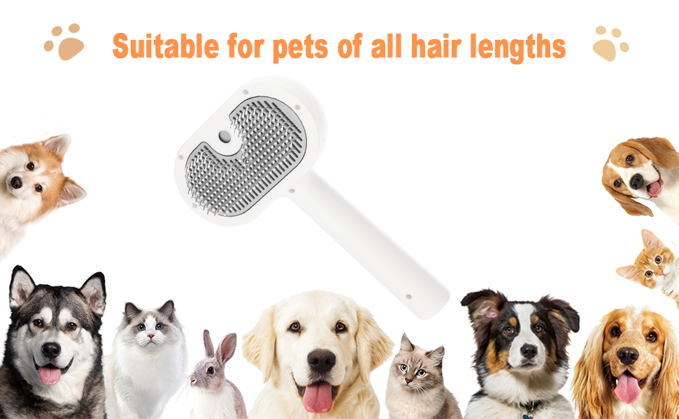 Are Self-Cleaning Slicker Brushes Not Ideal for Grooming Dogs?