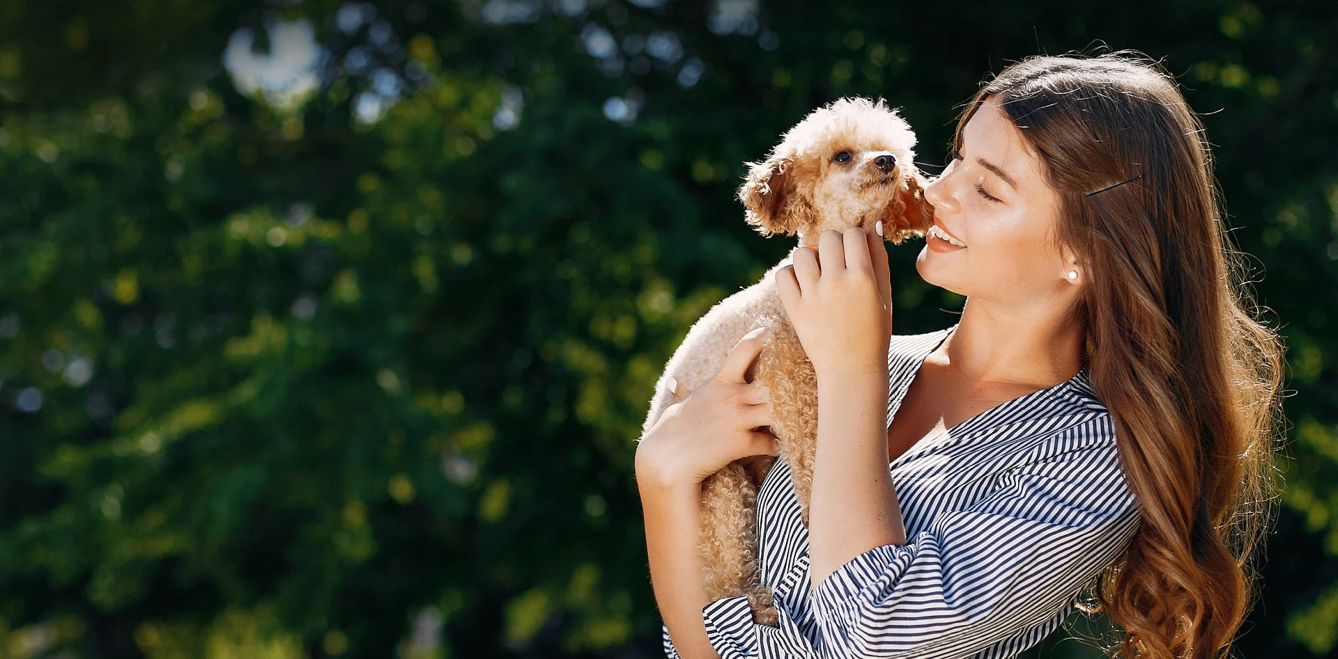 The Unseen Shield: How Air Purifiers Offer Relief from Allergies