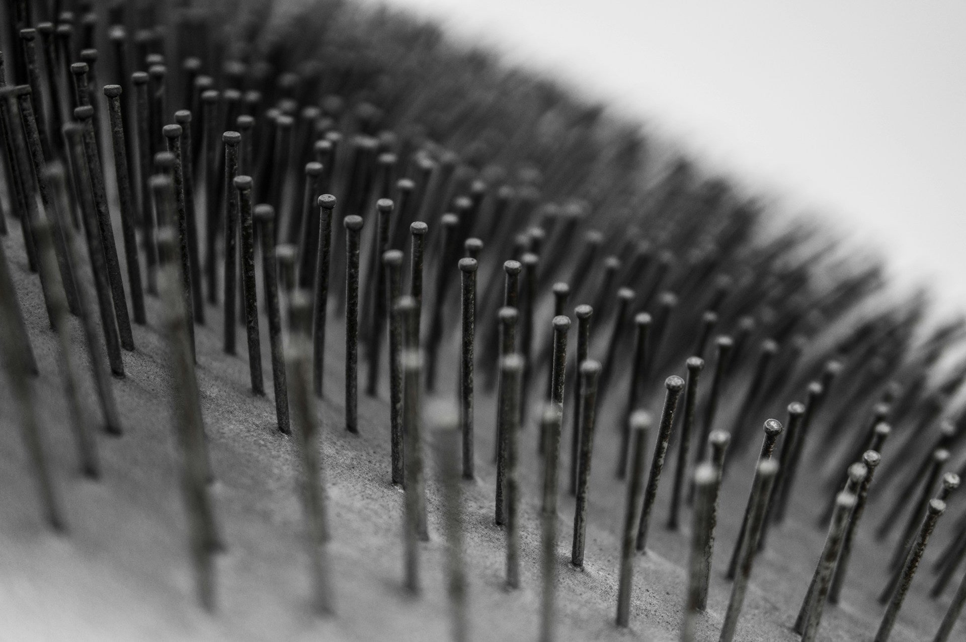 Recommend Anti-Static Brushes: Vet-Backed Guide for Calmer, Sleeker Coats