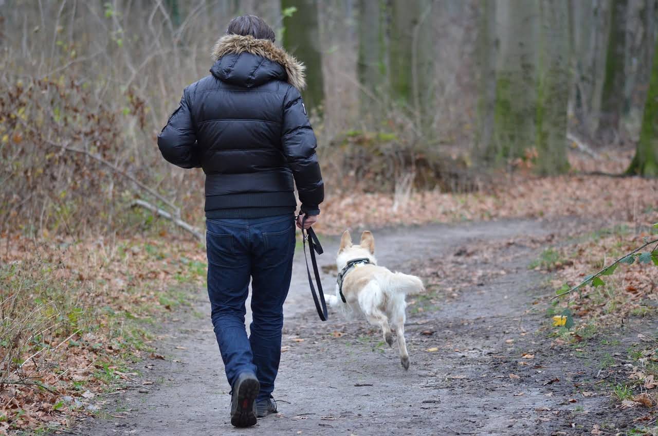 How Long Does Dog Grooming Typically Take?