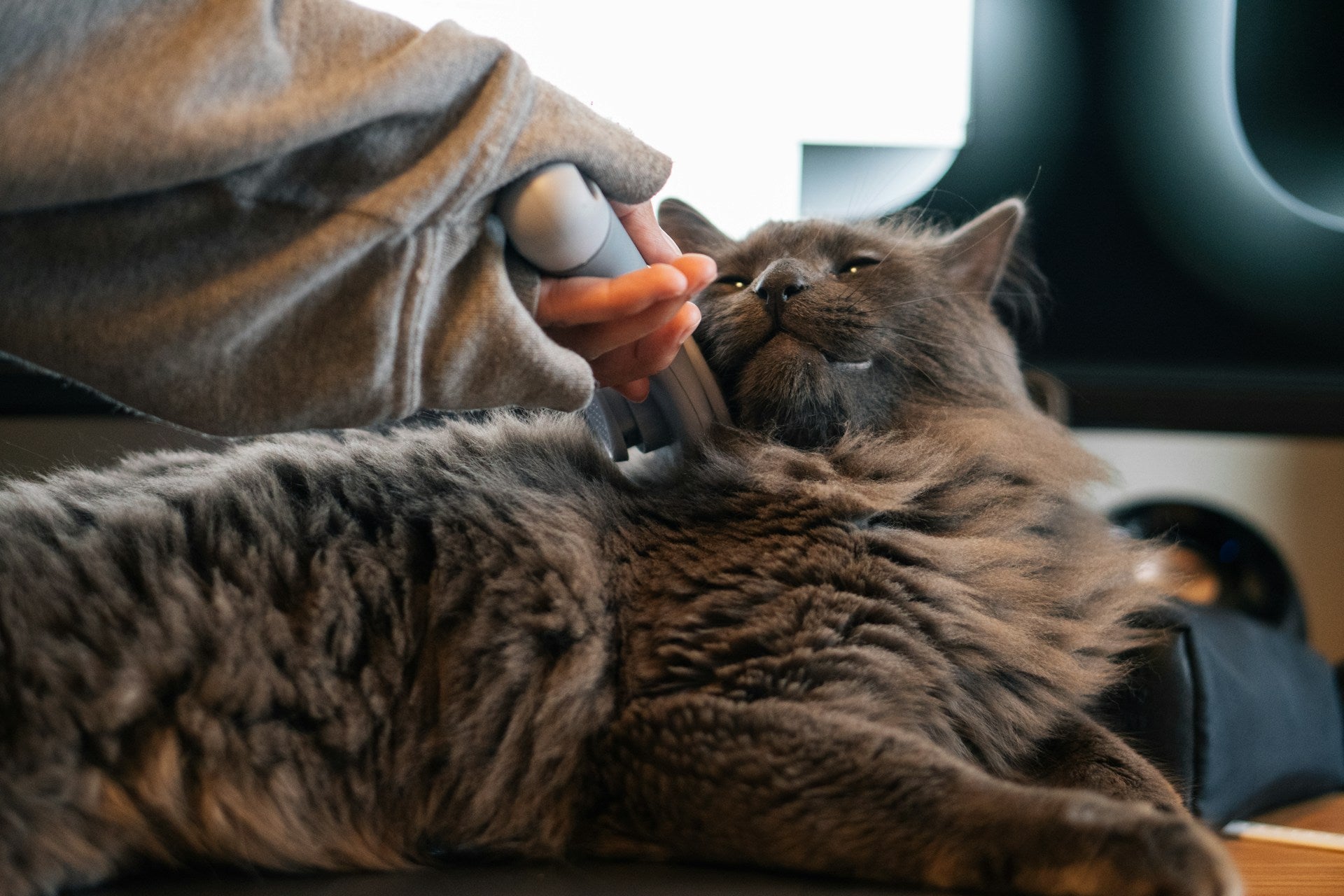 Amazon’s Choice: Why This Anti-Static Pet Brush Is a Best Seller