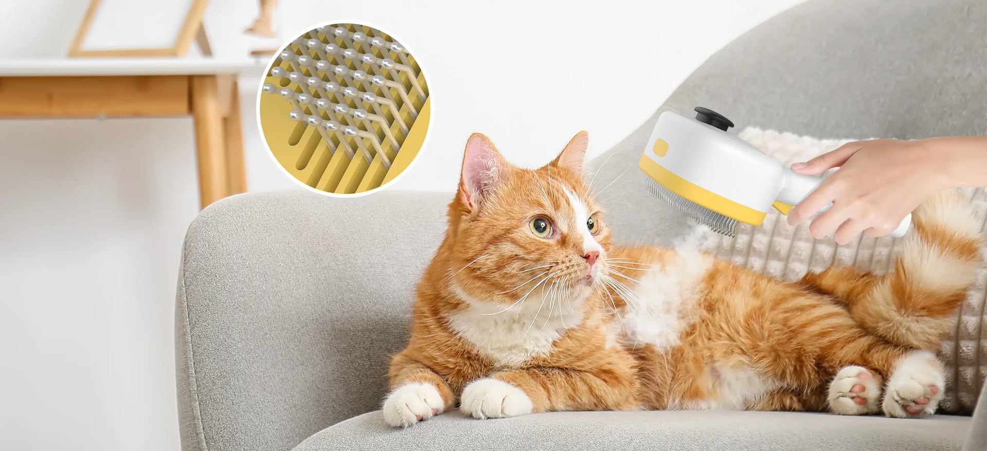 Best Cat Shedding Brush: Vet‑Approved Tools & Tips