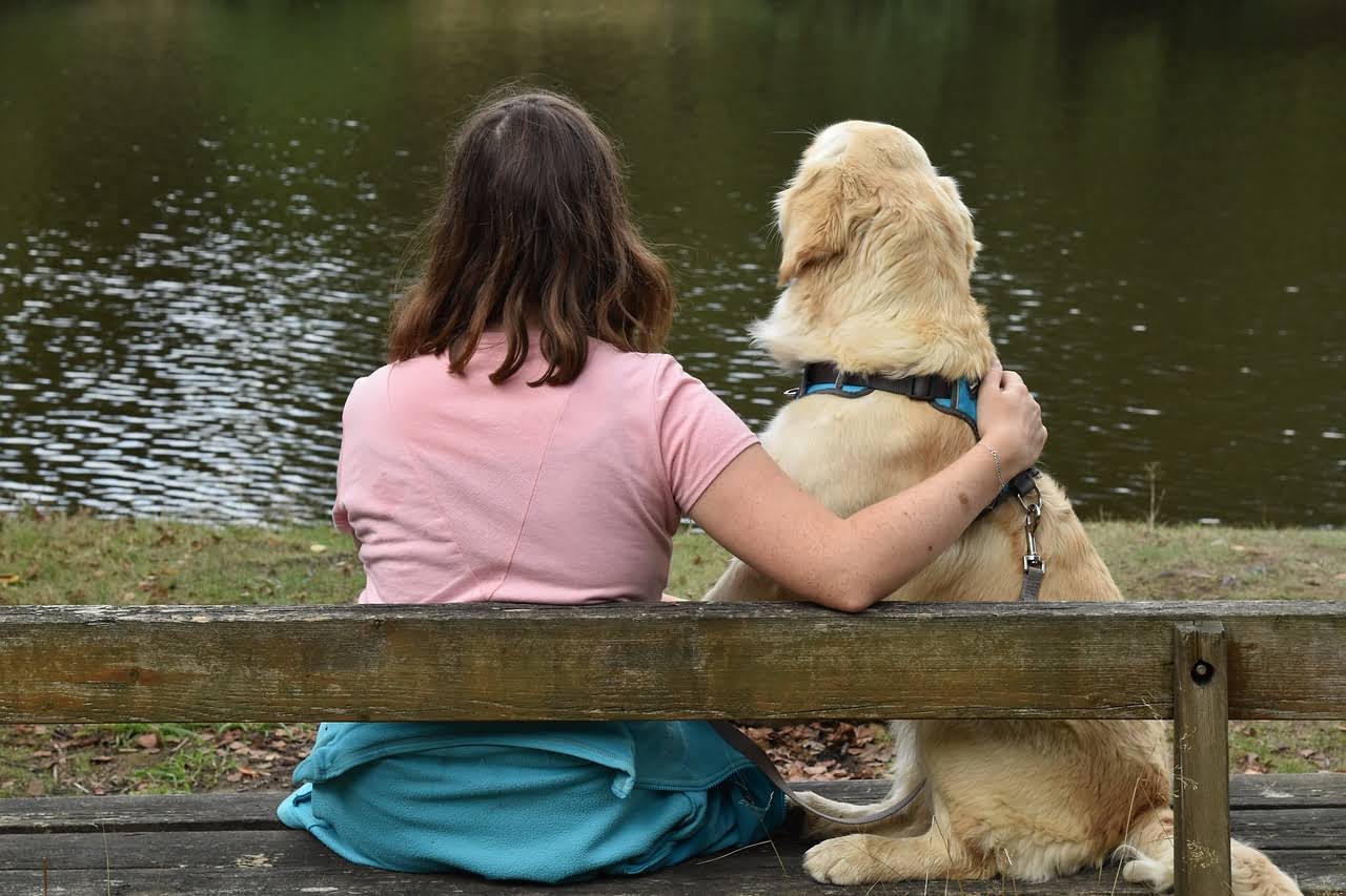 Why Do Dog Groomers Take Up to Six Hours?