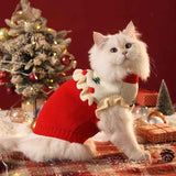 Festive little sweater for New Year greetings