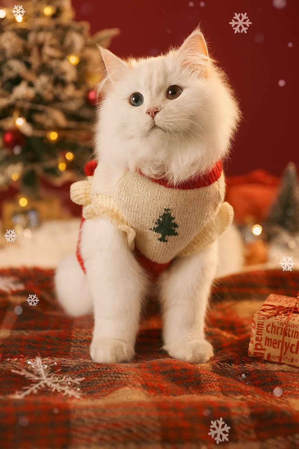 Festive little sweater for New Year greetings