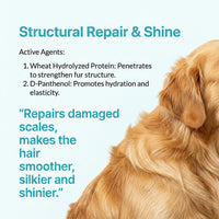 FurGo™ Pet Leave-In Serum