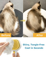 Furgo Misty Pet Steam Brush