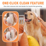 Pet Steam Brush