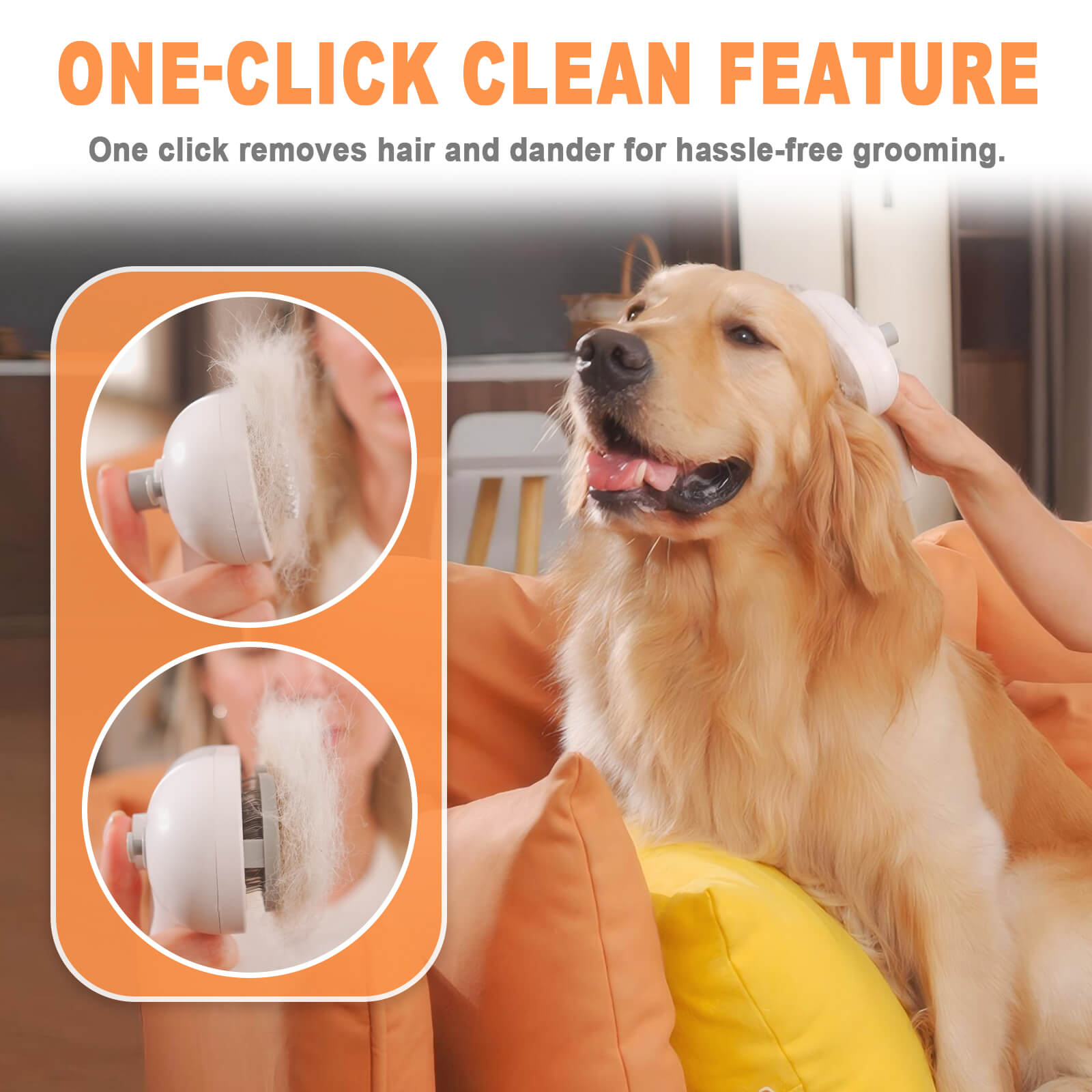 Pet Steam Brush