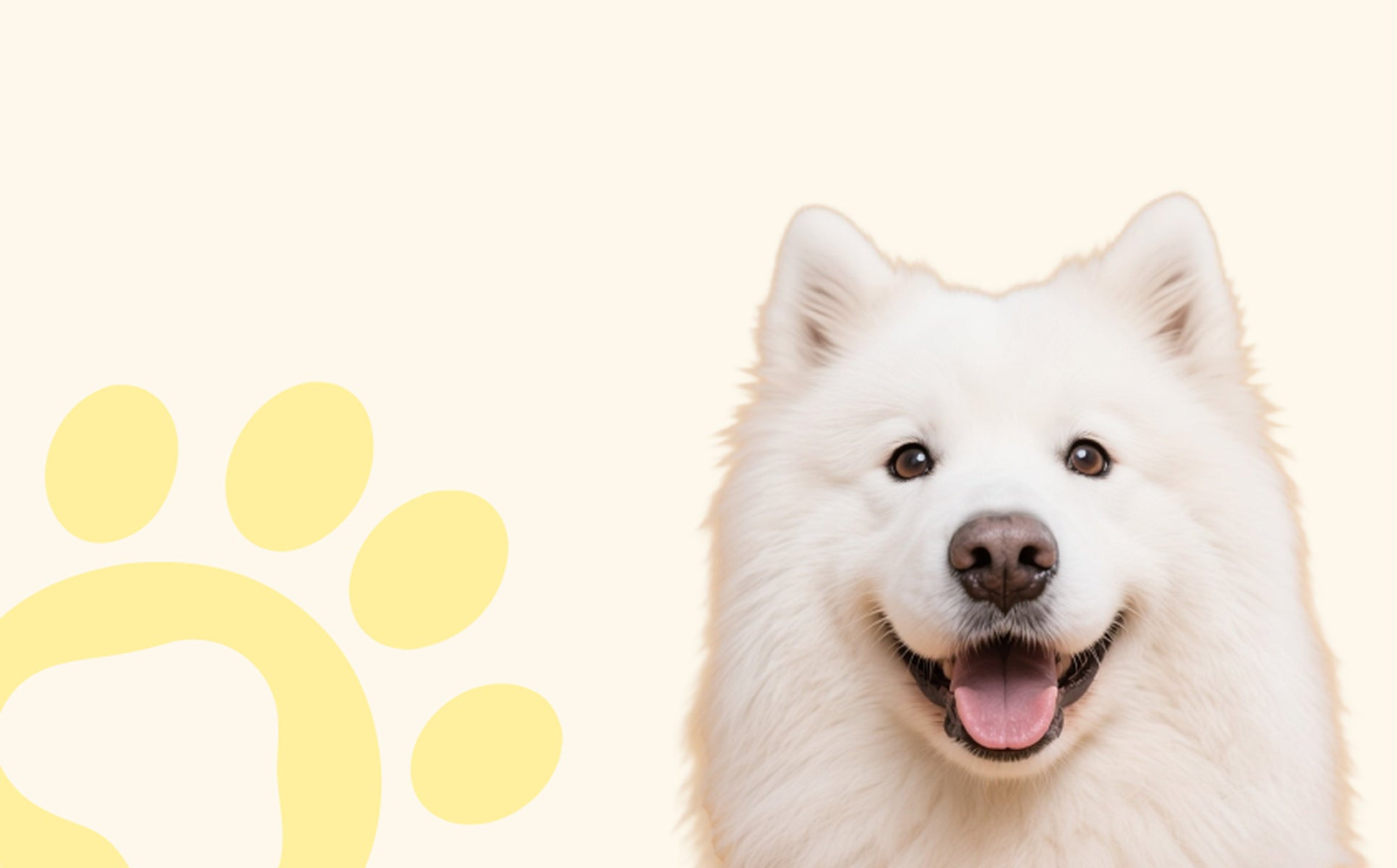 Furgo dog grooming supplies collection, featuring the Misty Steam Brush and other products.	best deshedding brush for dogs