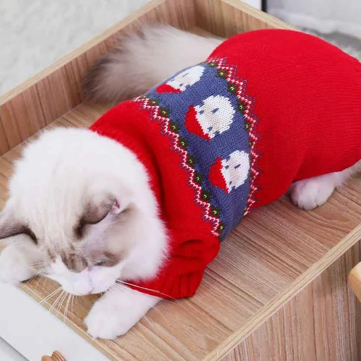 Red jacquard sweater