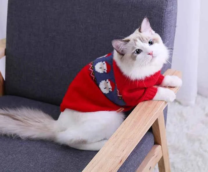 Red jacquard sweater