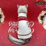 Festive little sweater for New Year greetings