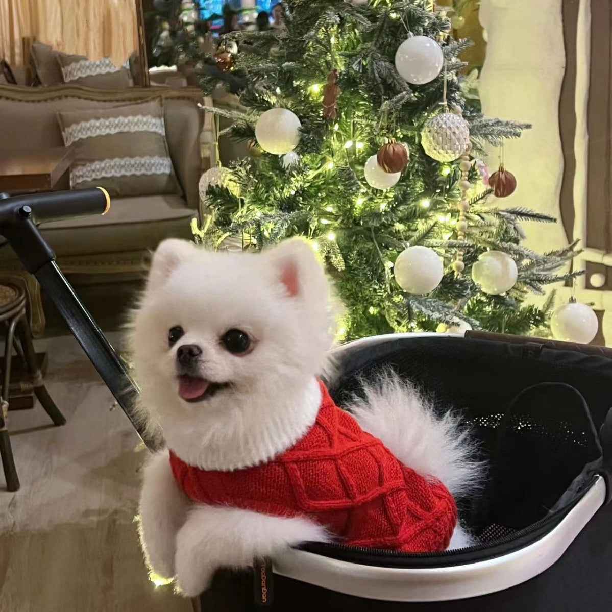 Sweetheart cherry sweater dress