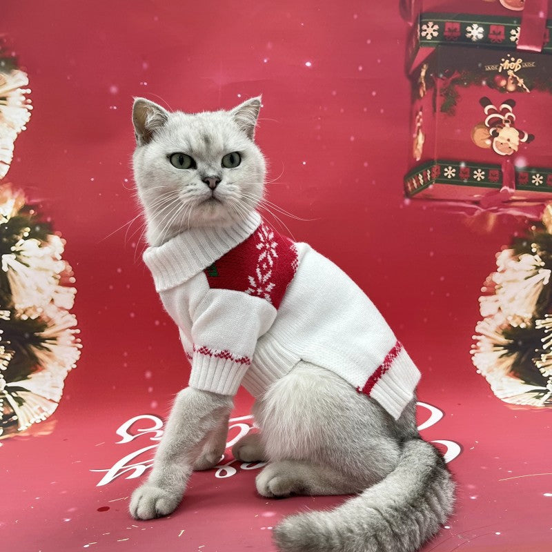 Festive little sweater for New Year greetings
