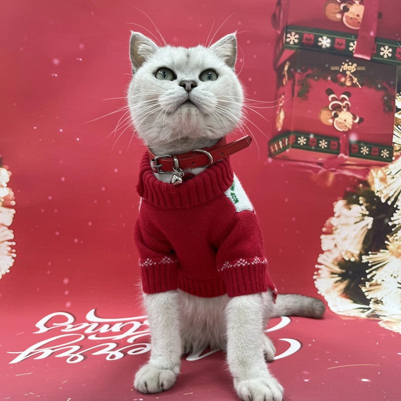 Festive little sweater for New Year greetings